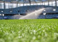 老年群体数,字化困境,安全畅享网,世界杯竞猜,2026世界杯,赔率分析,赛事预测,投注技巧