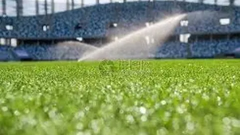 “老年群体数字化困境：安全畅享网络世界的秘诀”