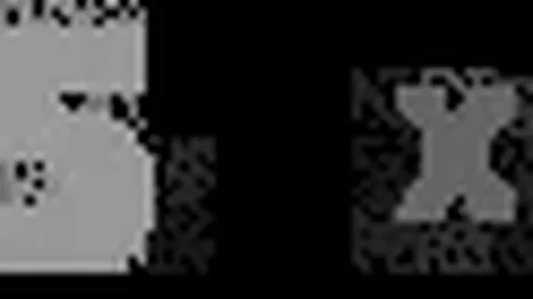 中国足协力保联赛准入，维护从业者利益，倾力投入